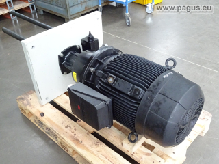 SPANDAU PUMPEN Schraubenspindelpumpe mit Motor