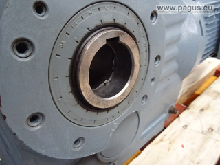 Getriebemotor 1,1 kW, 13 U/min Linkslauf