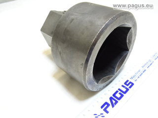 PAGUS Ratscheneinsatz