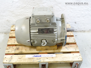 WEG Elektromotor