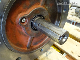 WEG Elektromotor