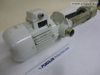 BRINKMANN Eintauchpumpe