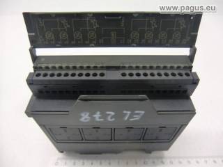 SIEMENS Analogeingabe