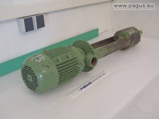 BRINKMANN Eintauchpumpe