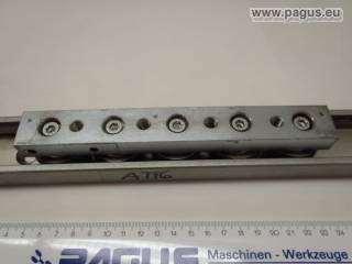 PAGUS Lineareinheit