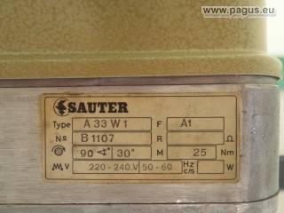 SAUTER Motorantrieb