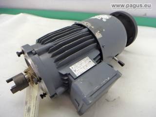 THIEN Elektromotor mit Bremse