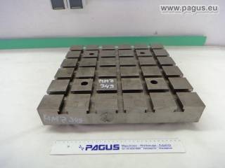 PAGUS Aufspannplatte