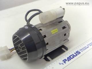 STANDEX-PROCON Elektromotor