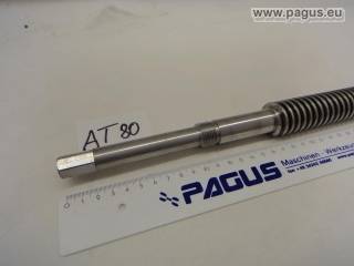 PAGUS Trapezgewindespindel