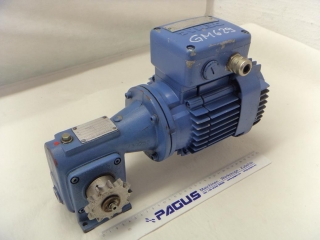 Getriebemotor 0,25 kW 135 U/min