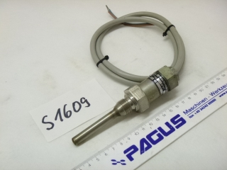 EAW resistance thermometer