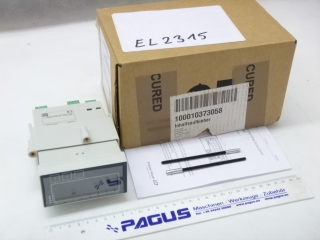 ENDRESS + HAUSER Prozessanzeige