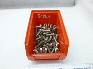 PAGUS Edelstahl- Senkkopfschrauben mit Schlitz