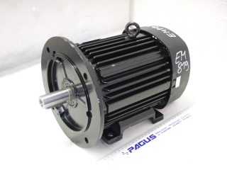 FLÄKTWOODS Elektromotor