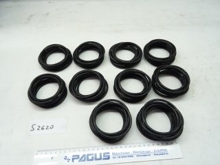 PAGUS 0 ring