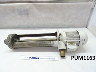 BRINKMANN Eintauchpumpe