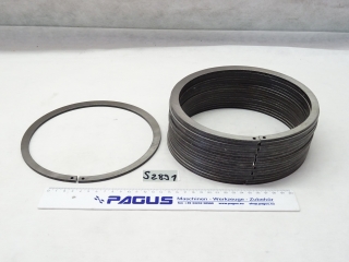 PAGUS Sicherungsring