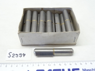 PAGUS Anschweißscharnier mit Stahlstift