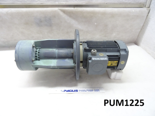 RENNER Eintauchpumpe