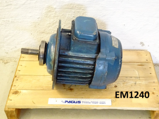 BALKANCAR Elektromotor mit Bremse