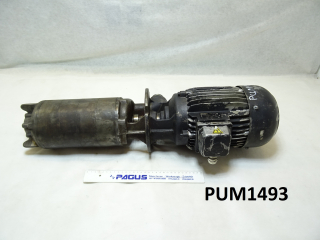 BRINKMANN Eintauchpumpe