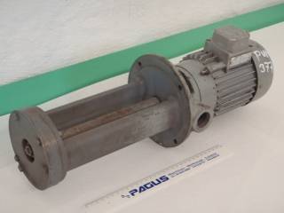 RAWYLER Eintauchpumpe