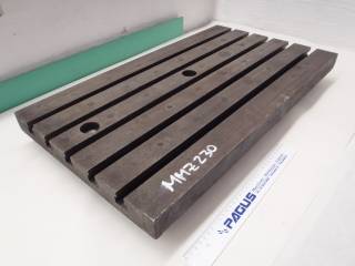 PAGUS Aufspannplatte