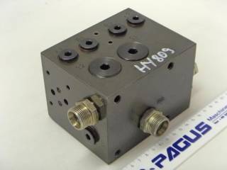 Płyta z serii PAGUS